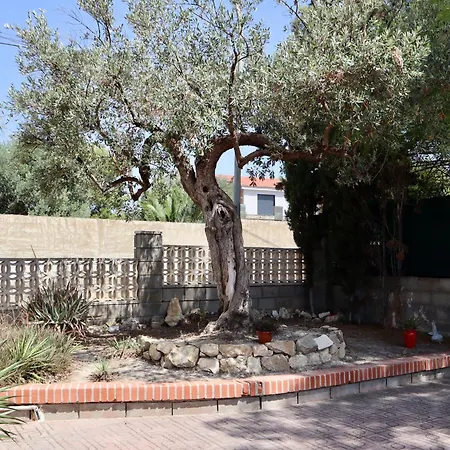 Con Jardin Y Piscina Privada Busot
